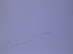 2889 054.jpg