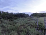 24848DSC01026.JPG