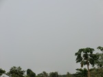 50544CIMG1173.JPG