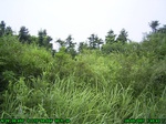 897R0015403_tag.jpg