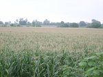 21404RIMG0134.JPG