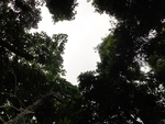 50265DSC02067.JPG