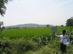 9320gt039a-irrigated-rice-thungabhadra.gif