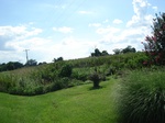 32529p184.jpg