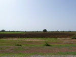 18933P1000777.JPG