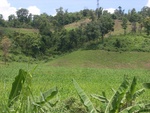 33586RIMG0251.JPG