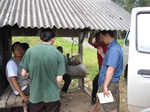 15884IMG_4431.JPG