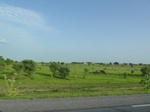 19387P1010234.JPG