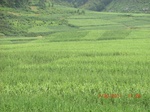 34786CIMG2617.JPG