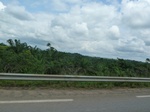 25770P1020189.JPG