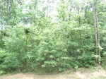32252p23_s.jpg