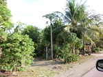 30917CIMG0773.JPG