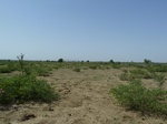 19253P1010099.JPG
