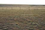 2012-09-02_21-39-48_DSC_1617.JPG
