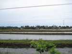 14491IMG_4850.JPG