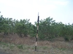 1691902052008(79).JPG