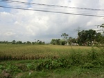 31213CIMG1075.JPG