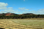 28704P1010721-1.JPG