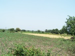 1763522042008(15).JPG
