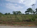 8875nigeria 086.jpg