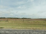 35921DSC02689.JPG