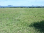 33576RIMG0241.JPG
