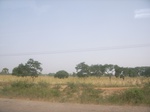 9078RIMG0158.JPG