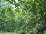 1694710052008(15).JPG