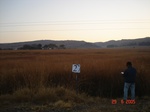 10607gt-027-wetland-seosonal-valley-bottom-01.jpg