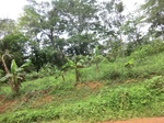 48990CIMG5327.JPG