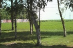 2024-08-05_14-06-59_CC1B84B2-F064-4E73-87B5-F5FC54170922.jpeg