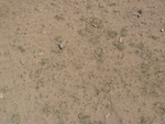 22530P1010694.JPG