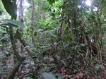45650CIMG2735.JPG