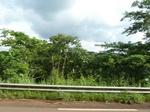 25181P1020021.JPG