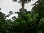 45592CIMG2677.JPG