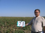10312071-Irrigated (Surface water) cotton-b.jpg