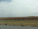 35413DSC02925.JPG