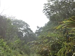 48535CIMG4872.JPG