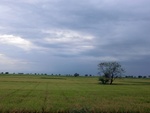 56080CIMG6769.JPG
