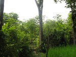 26016DSC00926.JPG