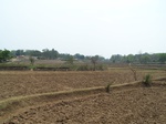 17443100_2131.JPG