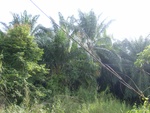 33723RIMG0341.JPG