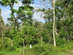 31945IMG_5652.JPG