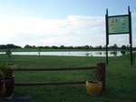 32565p216.jpg