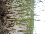 54493DSCN1774.JPG