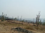 503920042008(76).JPG