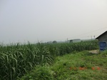 32777CIMG1909.JPG