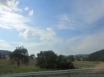 57376CIMG3613.JPG