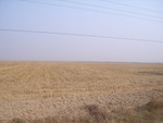 4634RIMG0065.JPG
