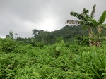 45498CIMG2583.JPG